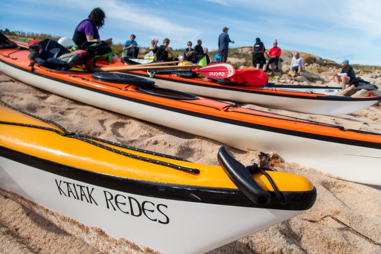 Cursos de kayak de Mar 
