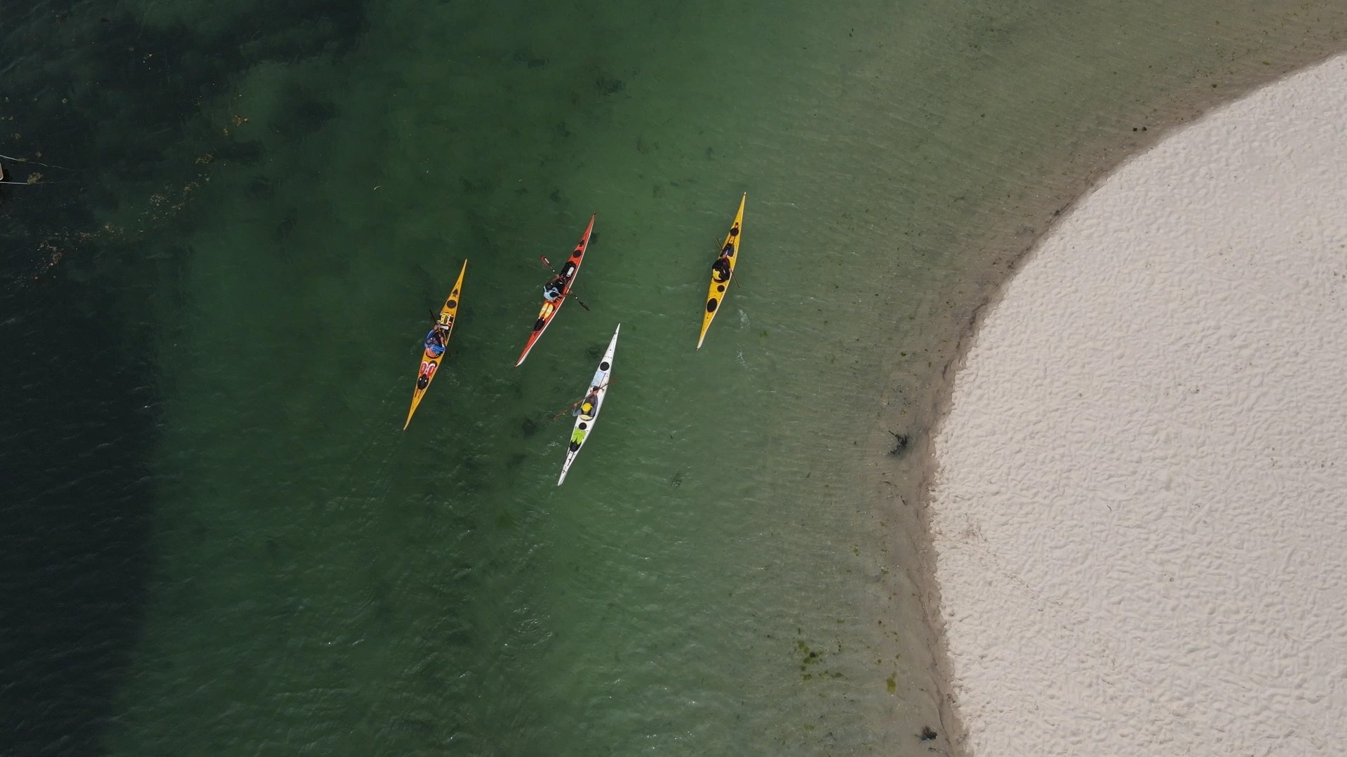 Vista aérea de cuatro kayaks de travesía navegando en fila cerca de una costa de arena blanca.