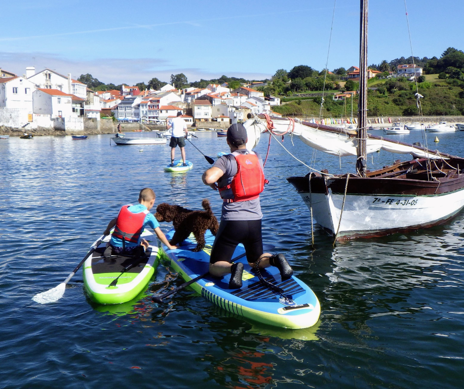 Cursos de Paddle Surf SUP en aguas tranquilas